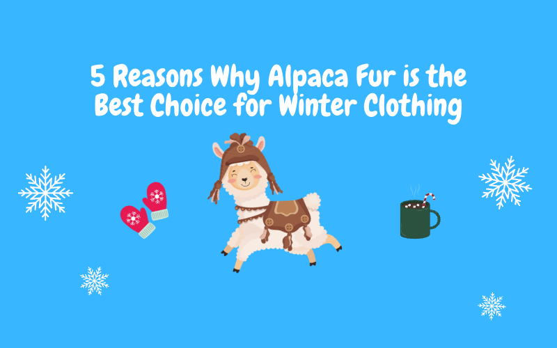 5 Reasons Why Alpaca Fur is the Best Choice for Winter Clothing