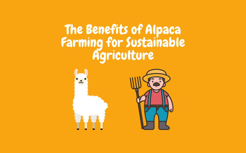 The Benefits of Alpaca Farming for Sustainable Agriculture