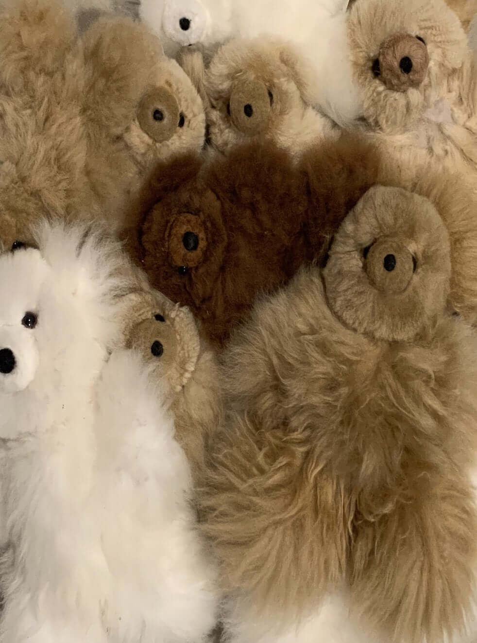 Teddy Bears · Alpaca Connection Imports