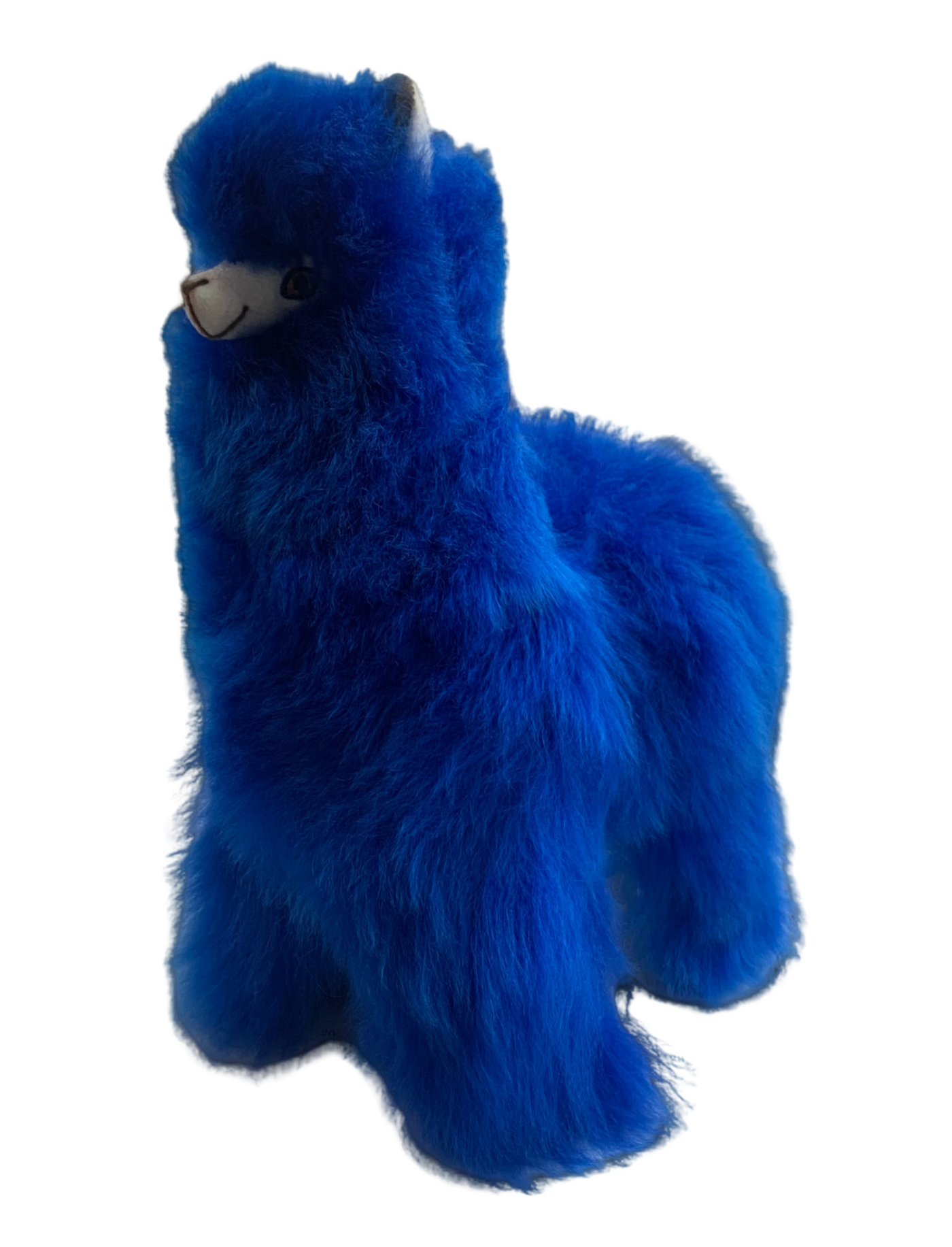 Blue top alpaca plush
