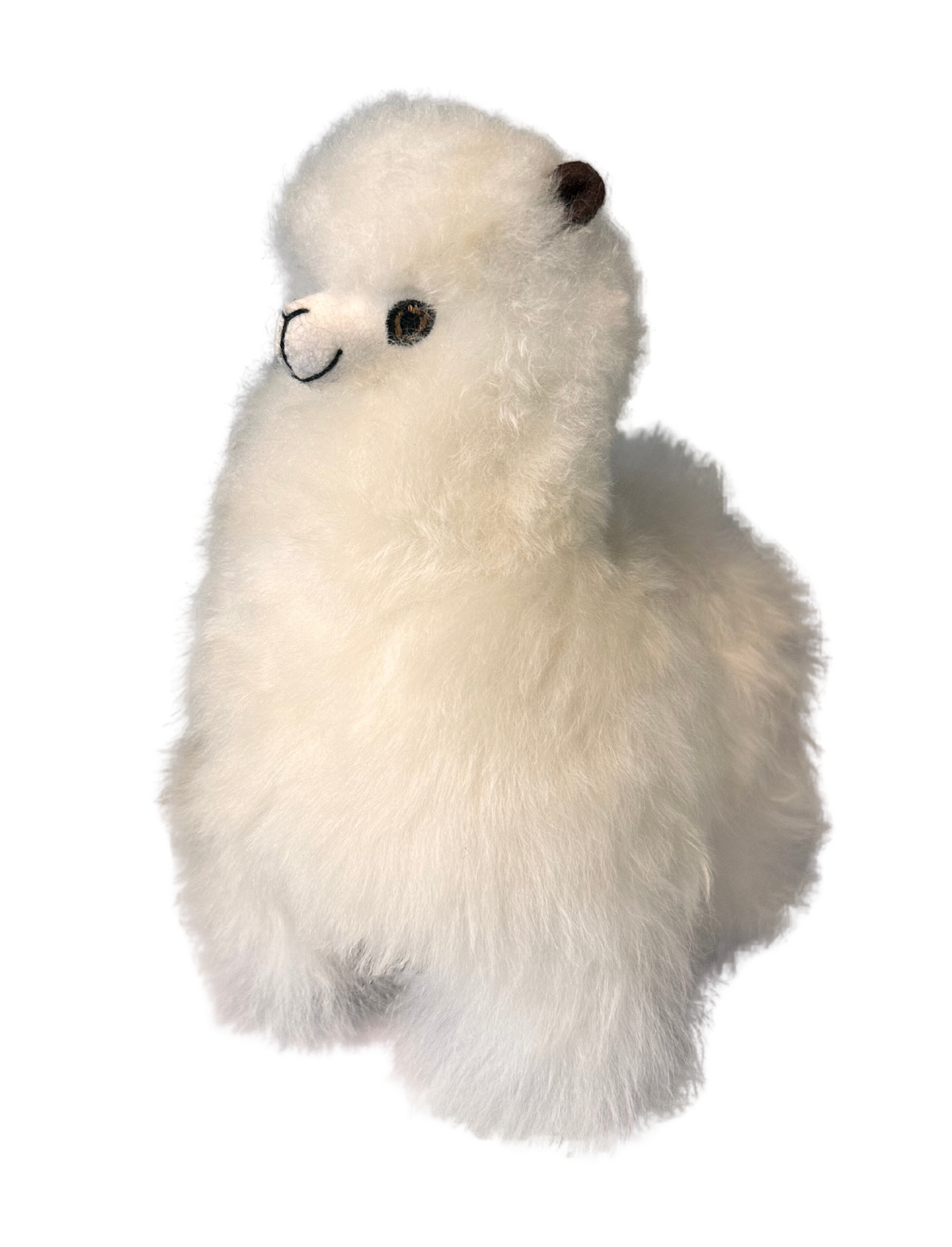 Alpaca Plushies (8 inch)