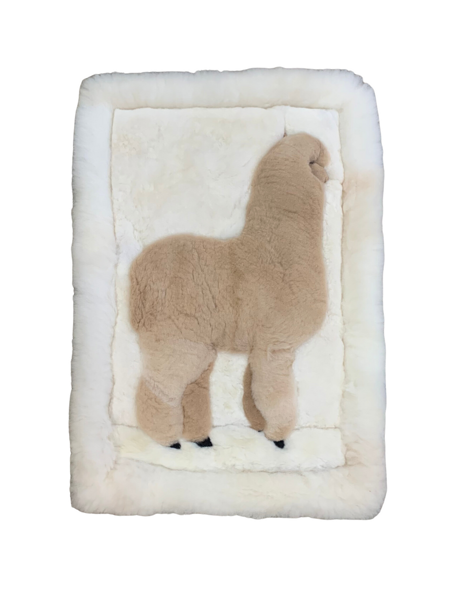 Huacaya Pillow (Alpaca)