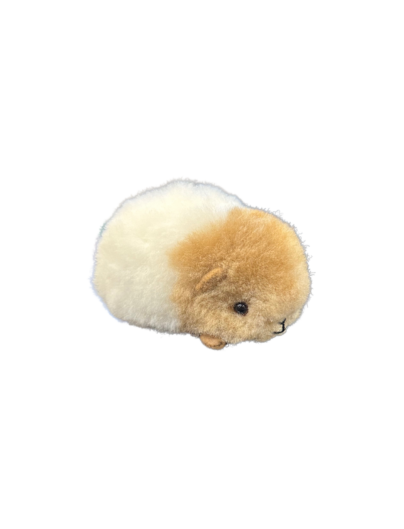 Guinea Pig (Mini)