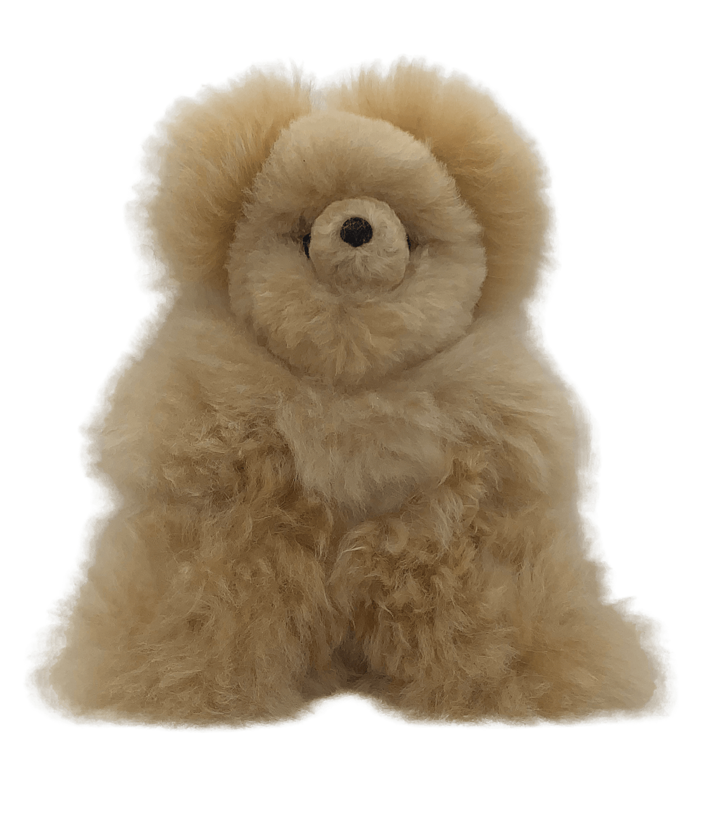 Teddy Bear 12 inch